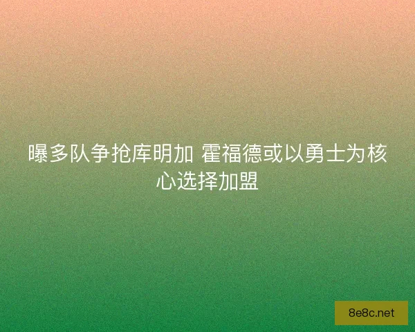 曝多队争抢库明加 霍福德或以勇士为核心选择加盟